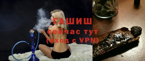 гидра Горнозаводск
