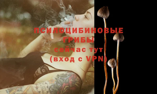 гидра Горнозаводск