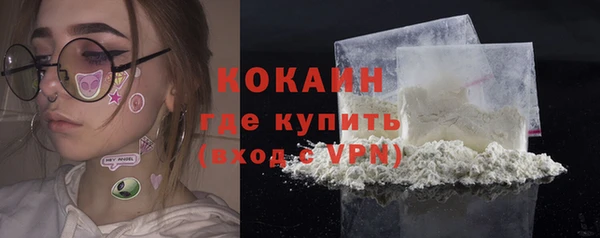 гидра Горнозаводск