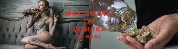 гидра Горнозаводск
