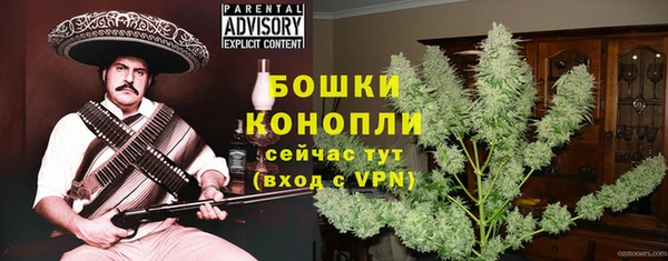 гидра Горнозаводск