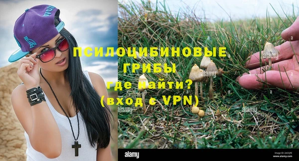 гидра Горнозаводск