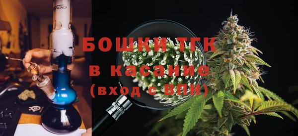 гидра Горнозаводск