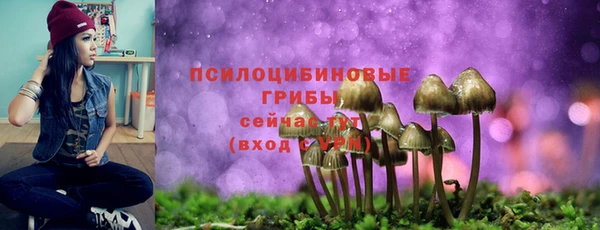 гидра Горнозаводск